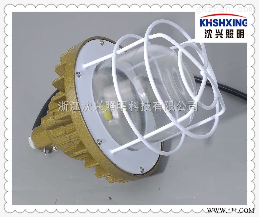 30WLED防爆灯 LED防爆投光灯图1