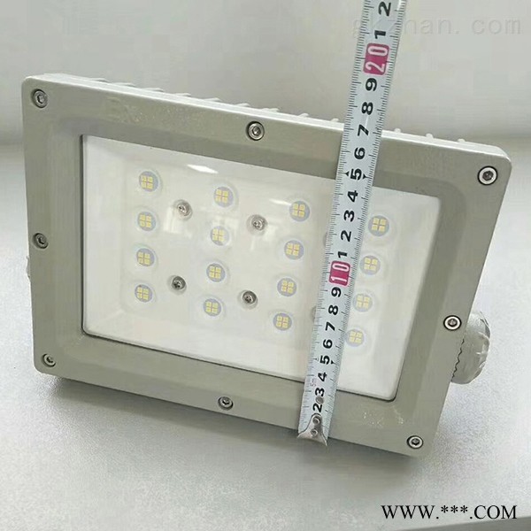 免维护防爆工厂灯50W图1