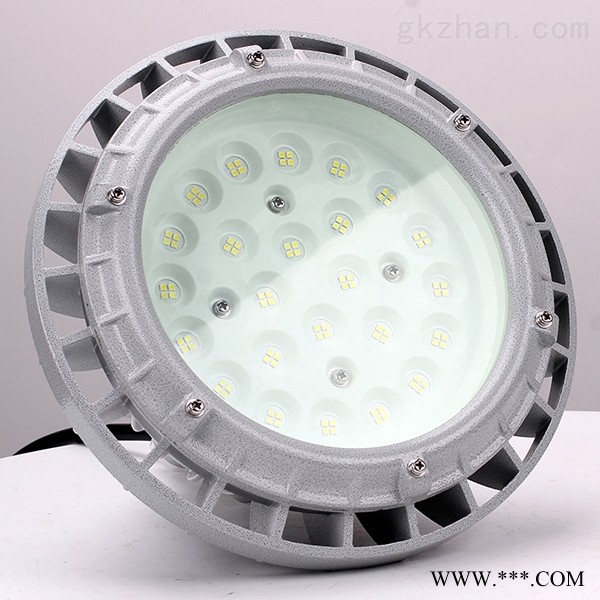 防爆照明灯60W_免维护防爆灯具60W图1