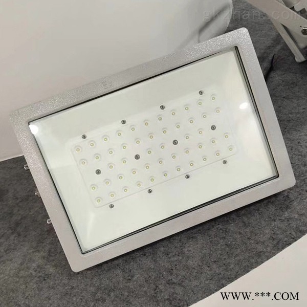 LED防爆灯具100W图1