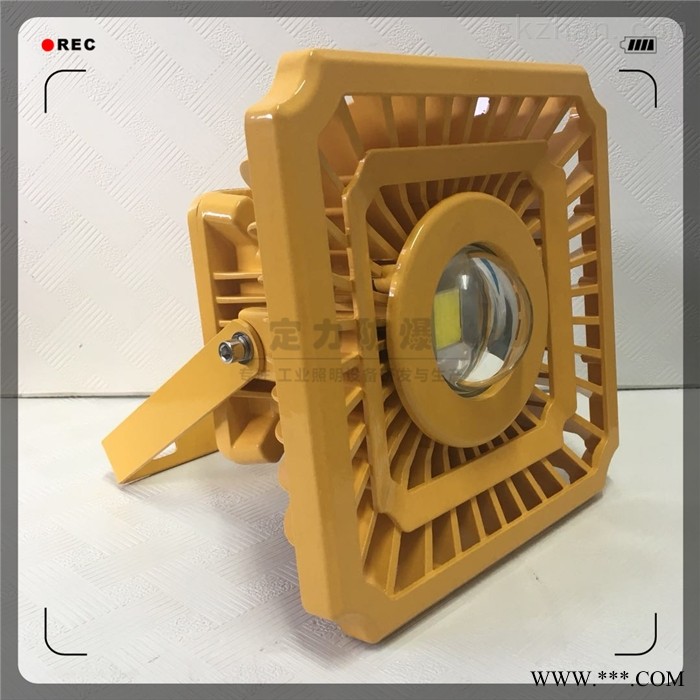 DFC-8102B-80W100W120Wled免维护防爆壁灯图1