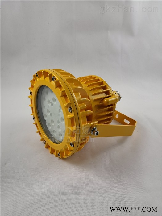 led防爆节能灯50W2.5米护栏式安装防爆灯图1