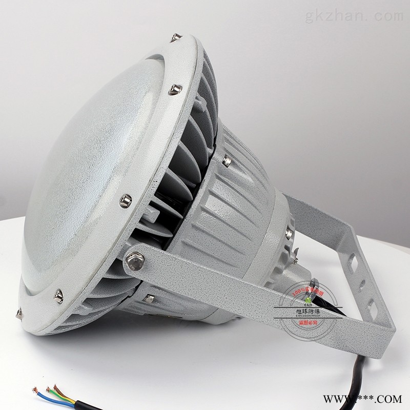 户外防水防爆灯具60W图1