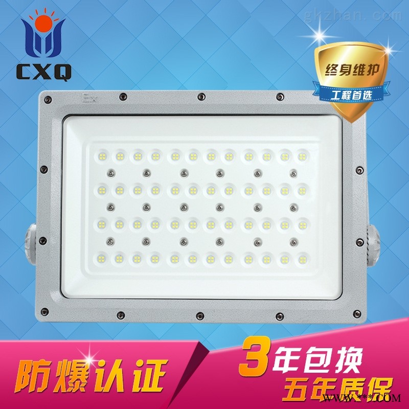 防爆马路灯CCD98图1