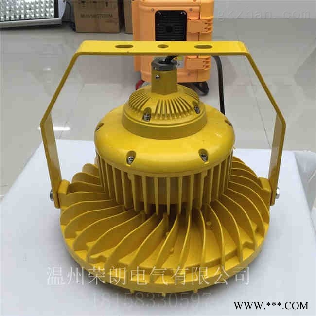 20W30WLED防爆灯 防爆LED泛光灯图1