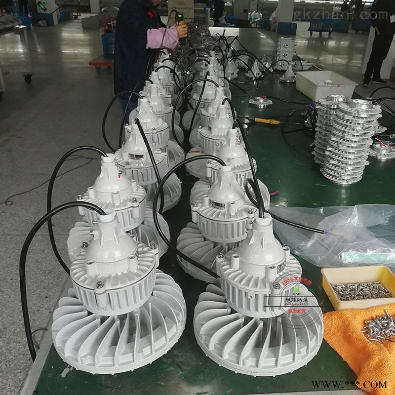 30W防爆泛光灯图1