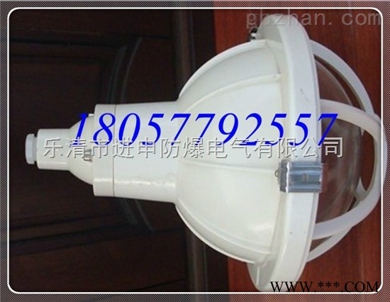 防水防尘防腐全塑灯厂家 FAD-S三防防爆灯图1