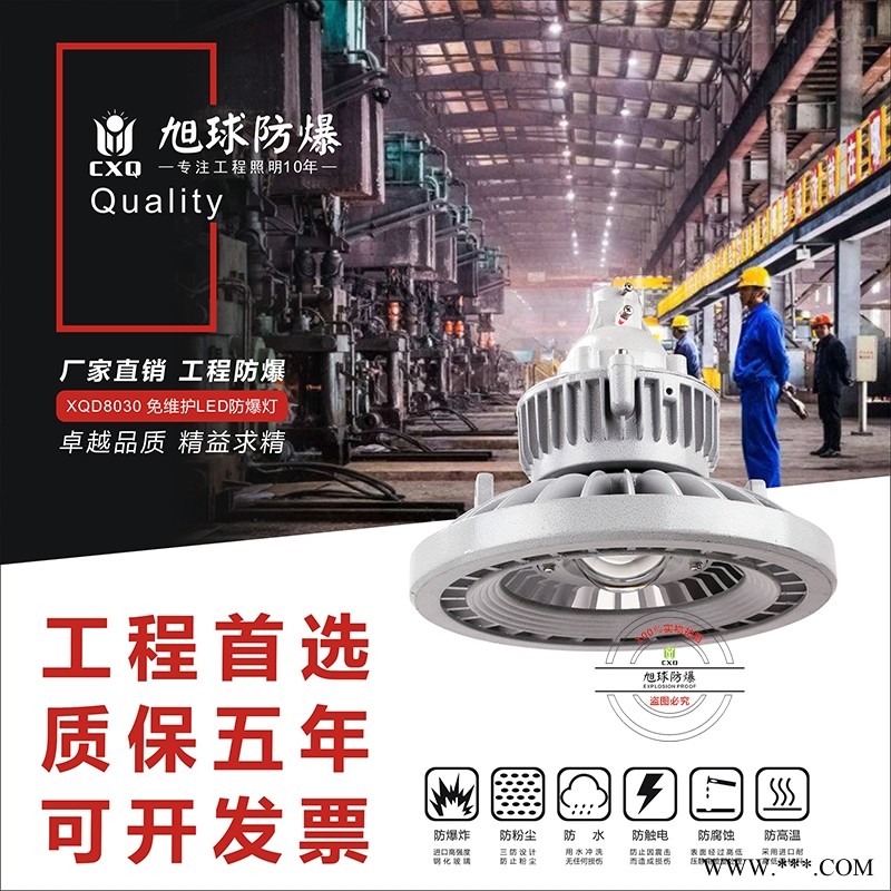防爆马路灯XHD622图1