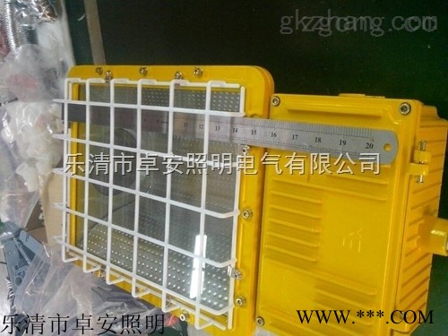 防爆泛光灯  400W泛光灯价格 防爆灯经销商图1
