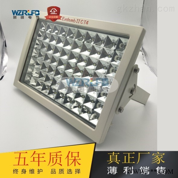 SW8140LED泛光灯 SW8140车间防爆照明灯图1