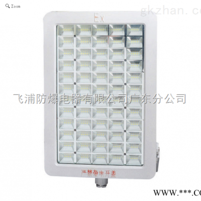 LED灯50WLED防爆灯80W