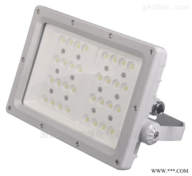 GB8151防爆泛光LED照明灯图1