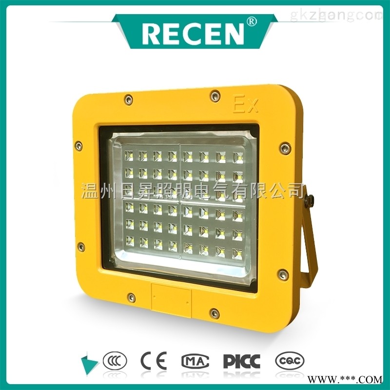 RFBL164.GCD615防爆泛光灯LED30W图1