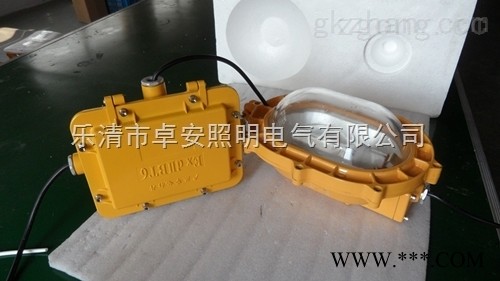 华荣防爆灯内场强光防爆灯图1