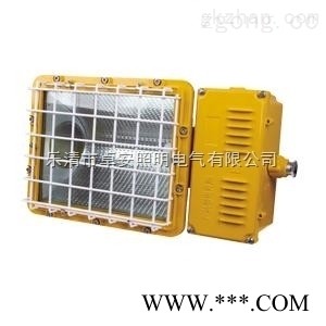 400W防爆泛光灯 250W电厂防爆灯  工业照明灯具 工程照明灯图1