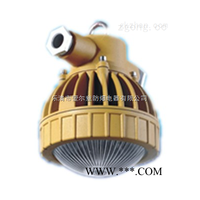 LED防爆灯10W/20W/30W