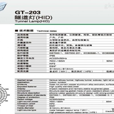 GT-203隧道灯