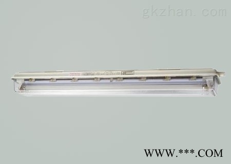 BYS系列防爆防腐全塑荧光灯图1