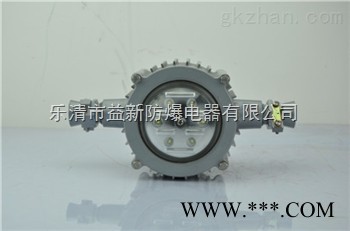 DGS10/127L矿用巷道灯图1