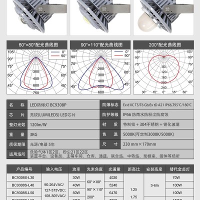 LED防爆灯（支架式）