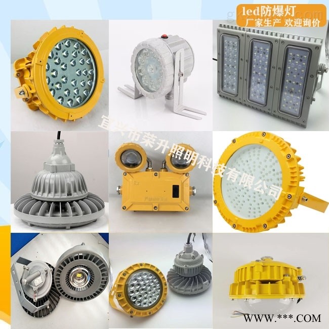 LED防爆灯RSD5088-R照明灯厂家图1