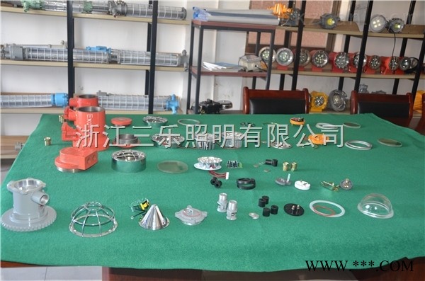 New  Lamps沈阳DGE24/24L（A） 单照明机车灯图1