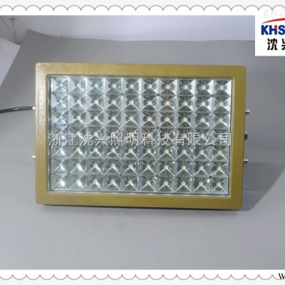 120w防爆led灯 LED防爆泛光灯