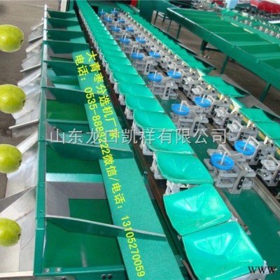 多功能全自动中国台湾青枣分选机，分选青枣大小机器