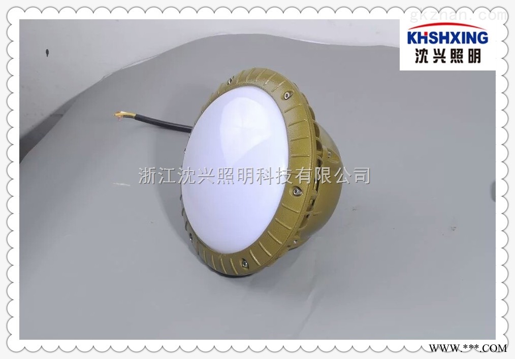 60w防爆led灯LED三防灯图1