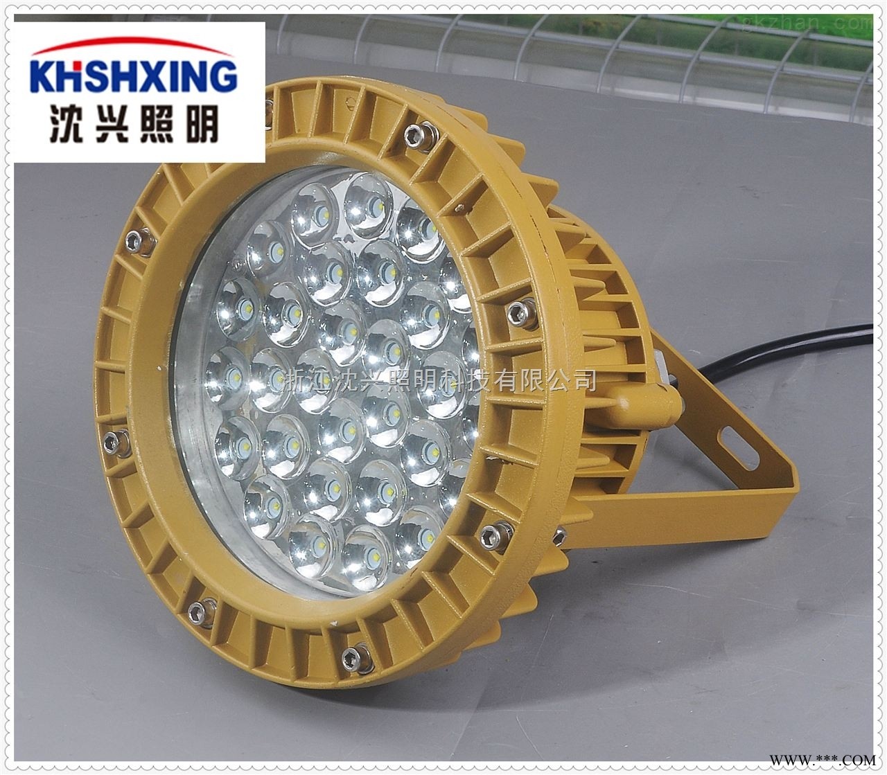 30w防爆led灯 LED防爆照明灯图1