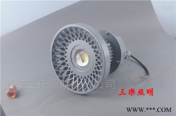 DGS120/127L（A）洗煤厂隔爆型LED泛光灯图1