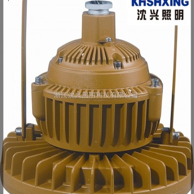 40w防爆led灯 LED防爆应急灯