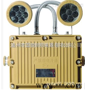 防爆应急灯图1