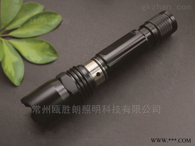 防爆手电筒图1