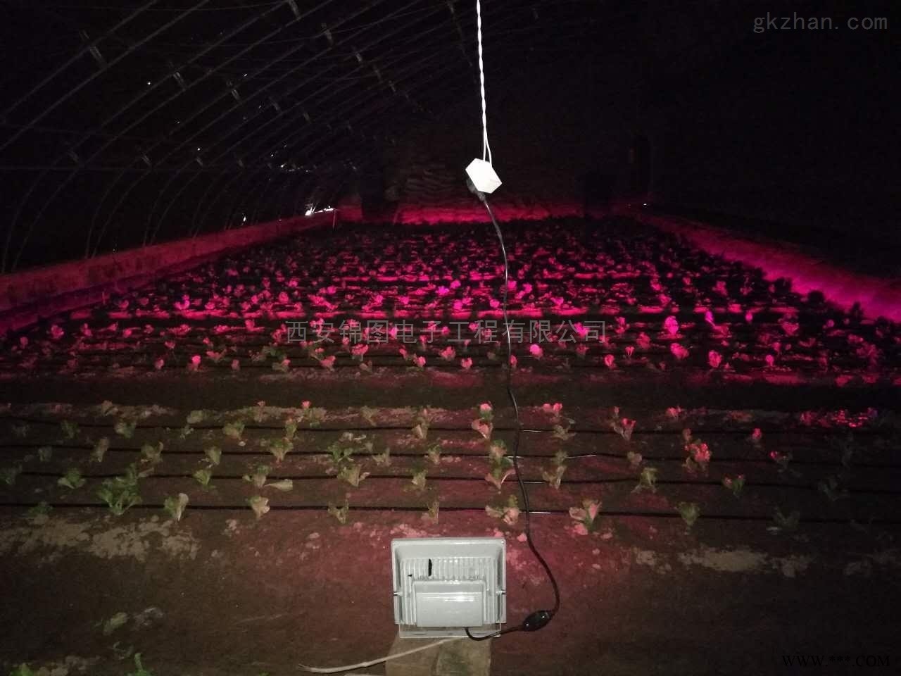 * 新款6WLD植物生长灯图1