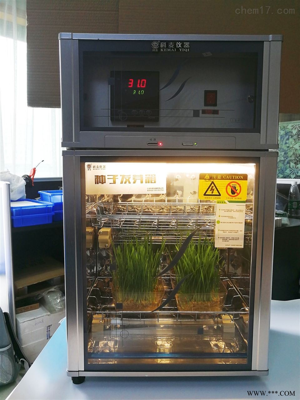 种子催芽箱小型光照培养箱图1
