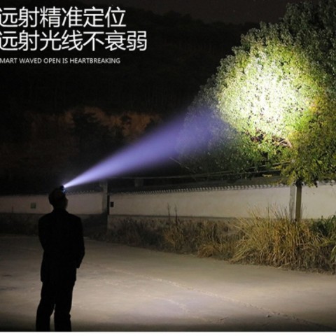 【2020新款】双光源白光 395紫光挥手感应可手机充电捕蝎子头灯图1