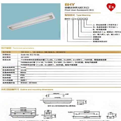 防爆洁净双管荧光灯2*18W20W40W吸顶式BHY嵌入式T8LED防爆净化灯图3