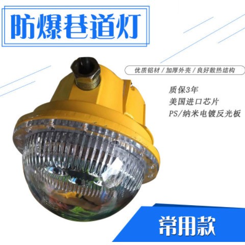 led防爆吸顶灯隔爆型船舶阳台地下室防潮仓库化工应急照明吸顶灯图1
