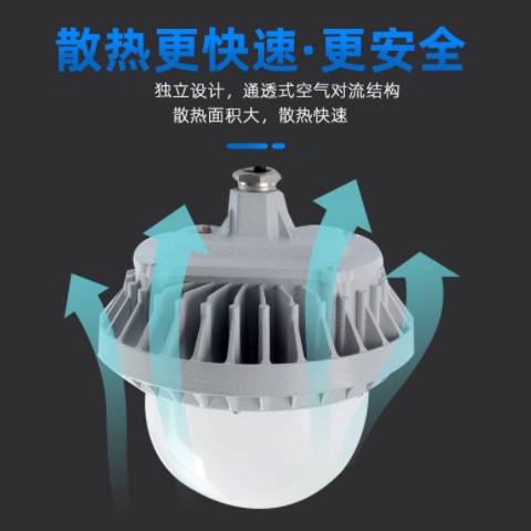 LED防爆平台护栏灯三防灯防眩防水车间仓厂房户外泛光照明灯吊灯图3