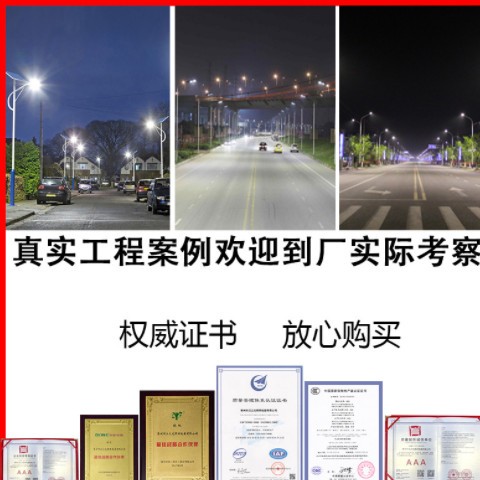 太阳能路灯 6米新农村户外LED路灯道路工程照明感应路灯厂家批发图3