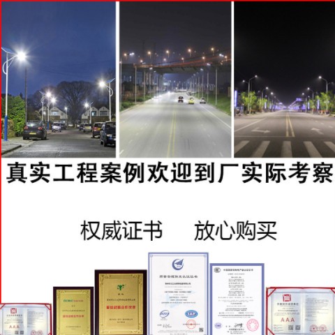 批发太阳能路灯新星LED一体化6米8米 新农村高亮户外照明感应路灯图2