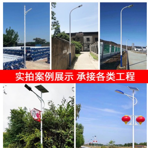 道路照明led路灯6m8m10m12m高杆灯庭院灯中华玉兰灯定制户外灯具图3