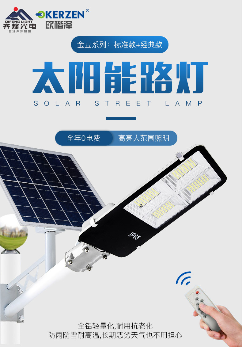 金豆标准款1