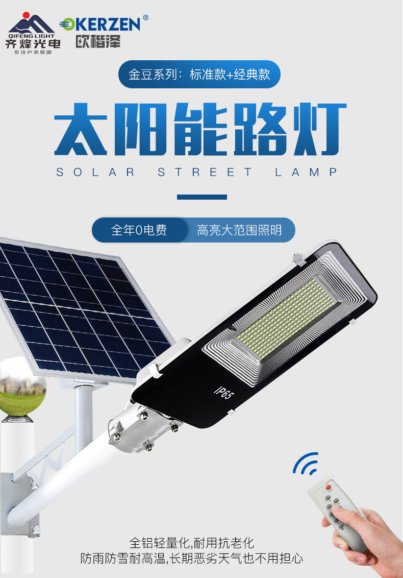 金豆金典款详情1