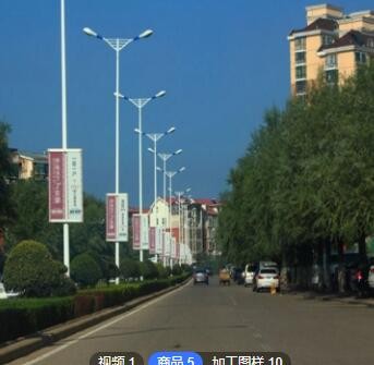 LED市电工程道路灯双头双臂高低臂6米5米8米10米市政工程亮化改造图2