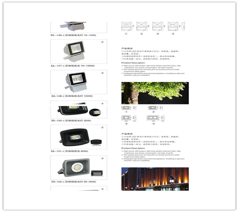 3瓦/5瓦/6瓦楞灯LED瓦楞灯 月牙灯led凉亭射灯led瓦片灯示例图21