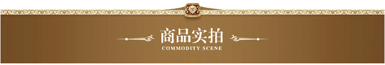 批发欧式吊灯创意卧室书房灯美式客厅灯饰铁艺合金餐厅灯展厅灯具示例图8