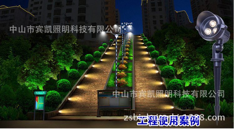 3瓦户外亮化LED插地灯草坪LED插泥灯公园亮化LED插地照树射灯示例图24