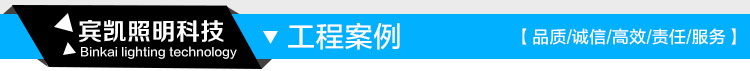 3瓦户外亮化LED插地灯草坪LED插泥灯公园亮化LED插地照树射灯示例图22